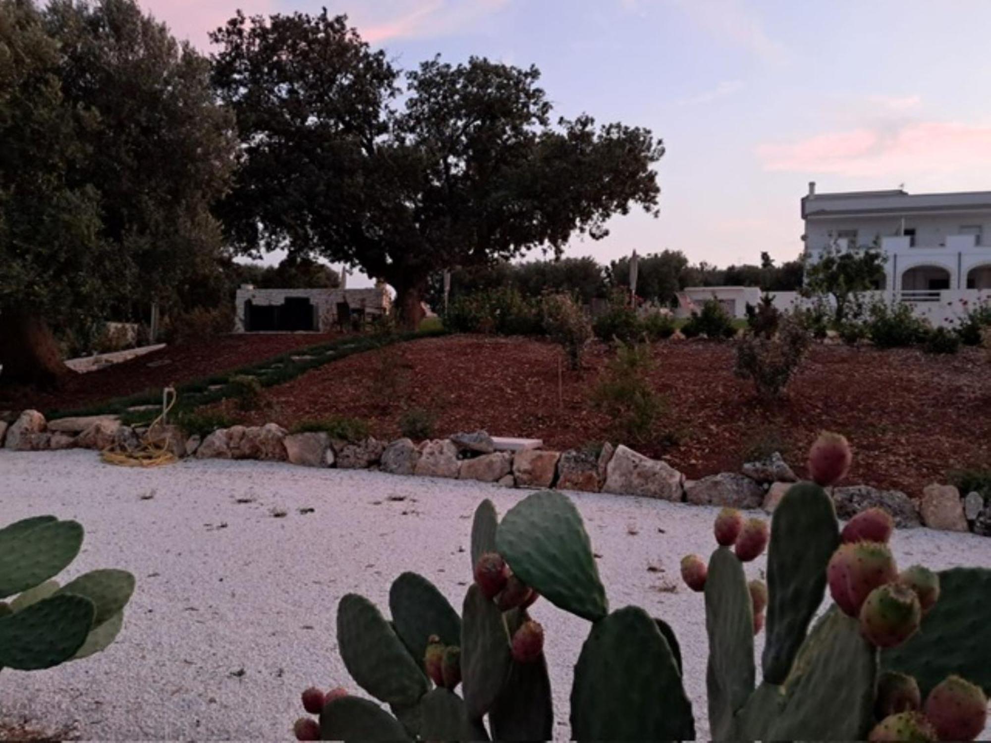 تْشيستيرنِنو Casa Vacanze 'La Quercia' المظهر الخارجي الصورة